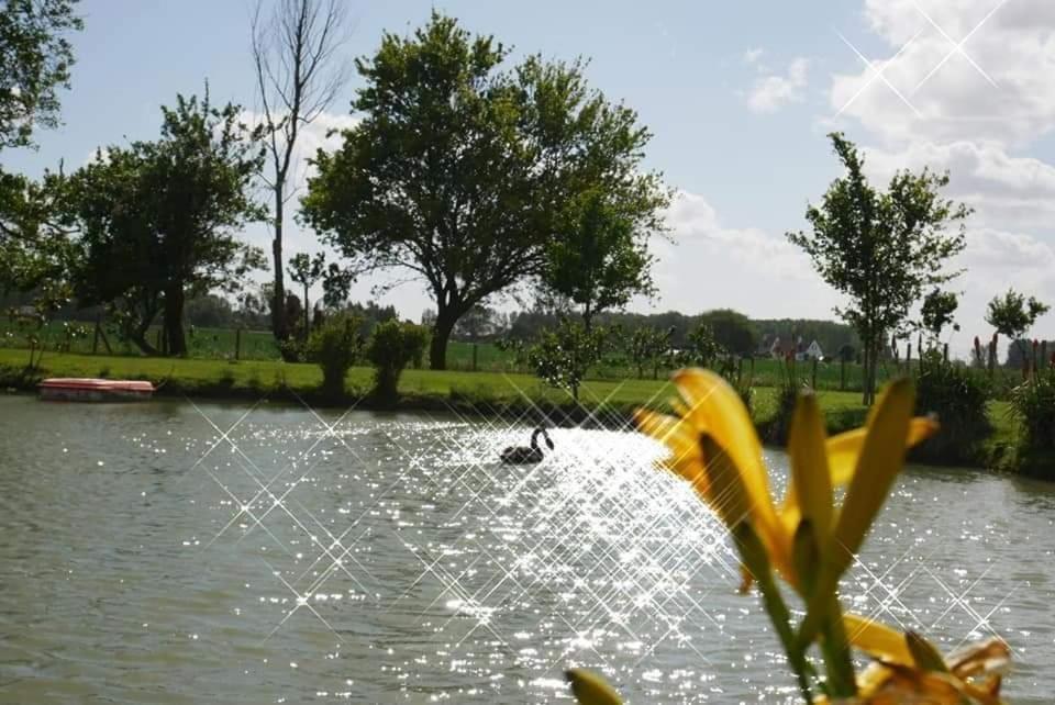 Gite Canard Fromelles Exterior photo